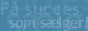 F� succes som s�lger!